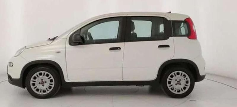 Usata Fiat Panda 69 CV (50 kW) 2021 Bianco gelato pastello extra Utilitaria