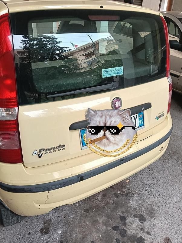 Usata Fiat Panda Dynamic 60 CV (44 kW) 2010 Utilitaria