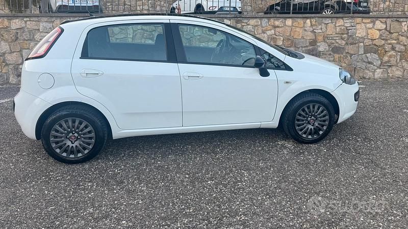 Usata Fiat Punto Evo Dynamic 69 CV (50 kW) 2011 Bianco Utilitaria