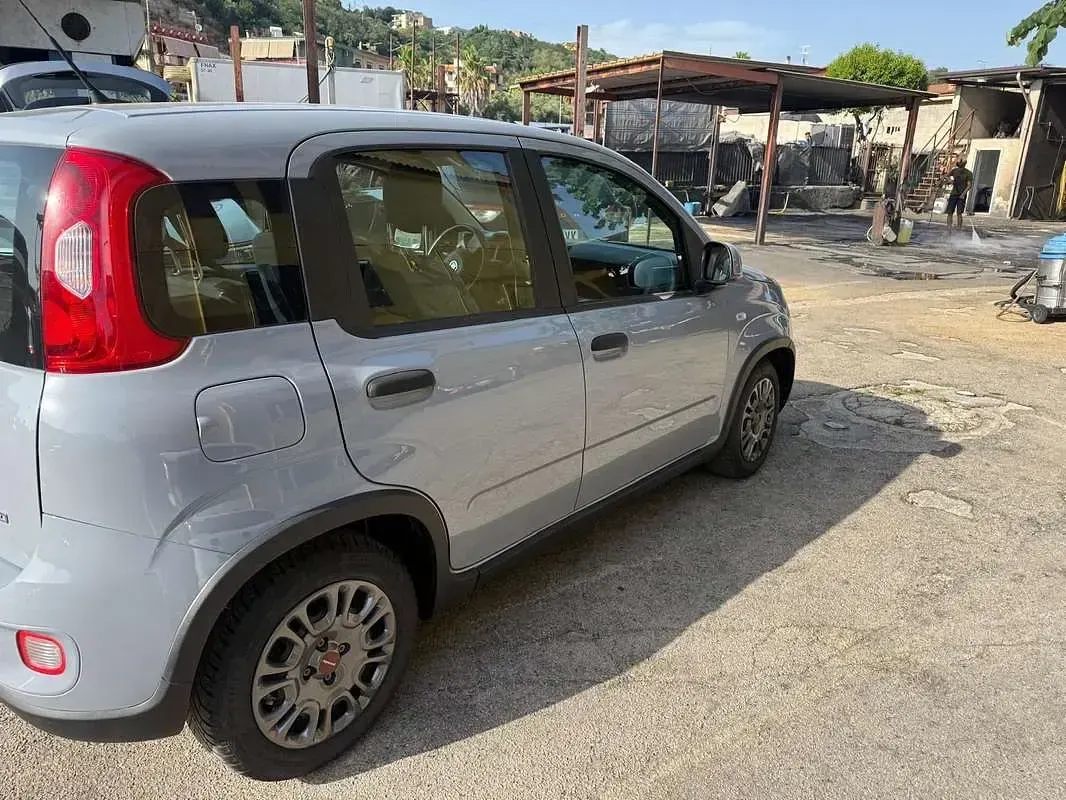 Usata Fiat Panda Cross Cross 69 CV (50 kW) 2022 Utilitaria
