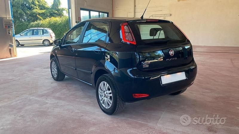 Usata Fiat Punto Lounge 69 CV (50 kW) 2014 Nero Utilitaria