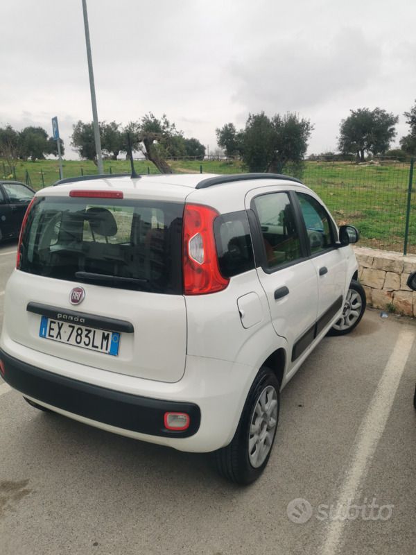 Usata Fiat Panda 70 CV (51 kW) 2014 Bianco Utilitaria