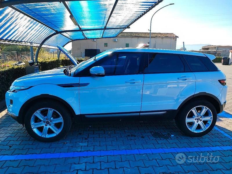 Usata Land Rover Range Rover evoque 190 CV (139 kW) 2013 Bianco SUV
