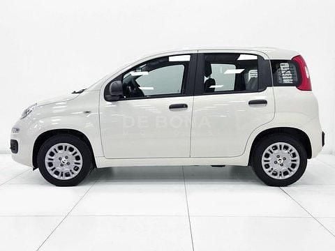 Nuova Fiat Panda Icon 69 CV (50 kW) 2026 Bianco Utilitaria