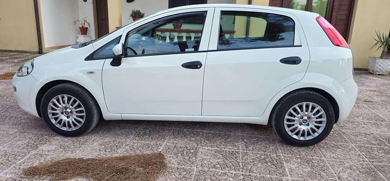 Usata Fiat Punto Lounge 69 CV (50 kW) 2016 Utilitaria