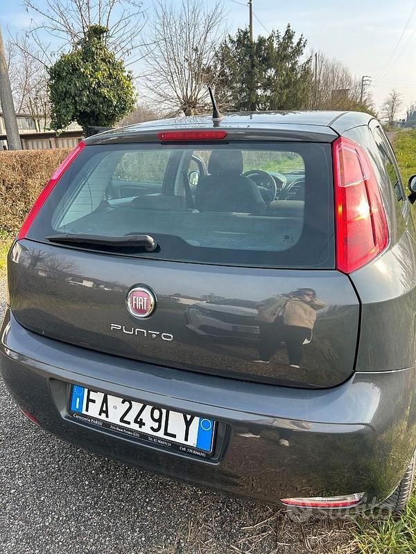 Usata Fiat Punto Lounge 69 CV (50 kW) 2015 Grigio Utilitaria