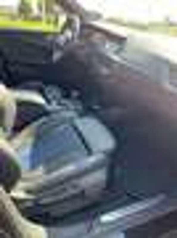 Usata BMW 118 M Sport 150 CV (110 kW) 2021 Nero Utilitaria