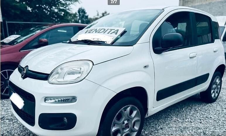 Usata Fiat Panda 4x4 S 95 CV (69 kW) 2015 Bianco Utilitaria