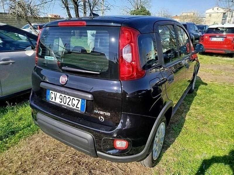 Usata Fiat Panda S 69 CV (50 kW) 2024 Nero Utilitaria