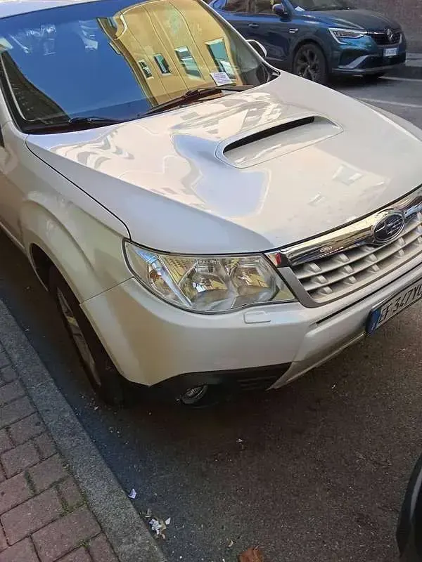 Usata Subaru Forester Trend 147 CV (108 kW) 2011 Bianco SUV