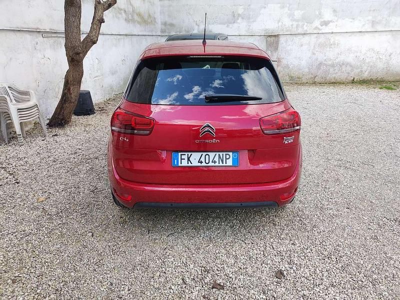 Usata Citroën C4 Picasso Live 120 CV (88 kW) 2017 Marrone Monovolume