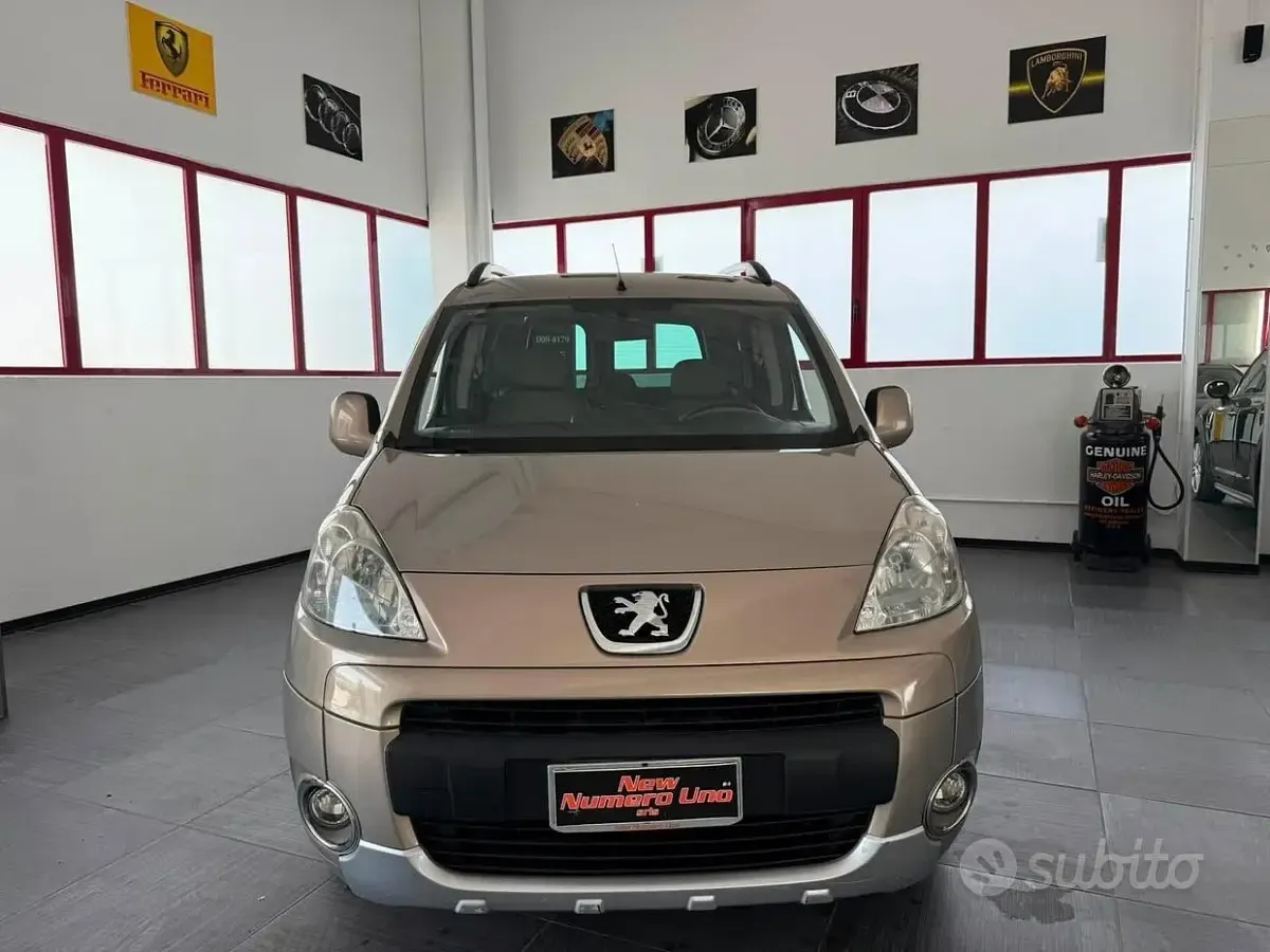Usata Peugeot Partner Tepee Comfort 90 CV (66 kW) 2010 Beige Monovolume