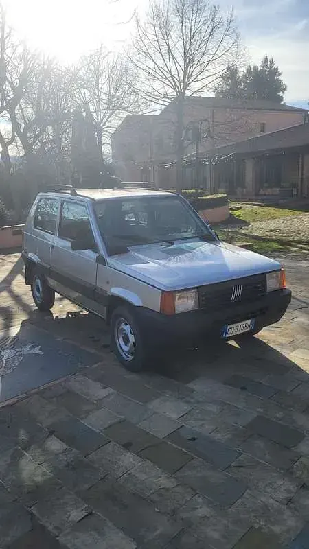 Usata Fiat Panda 4x4 Trekking 54 CV (39 kW) 2002 Argento Utilitaria