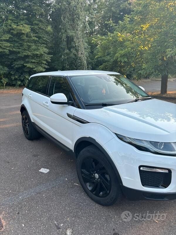 Usata Land Rover Range Rover evoque 150 CV (110 kW) 2019 Bianco SUV