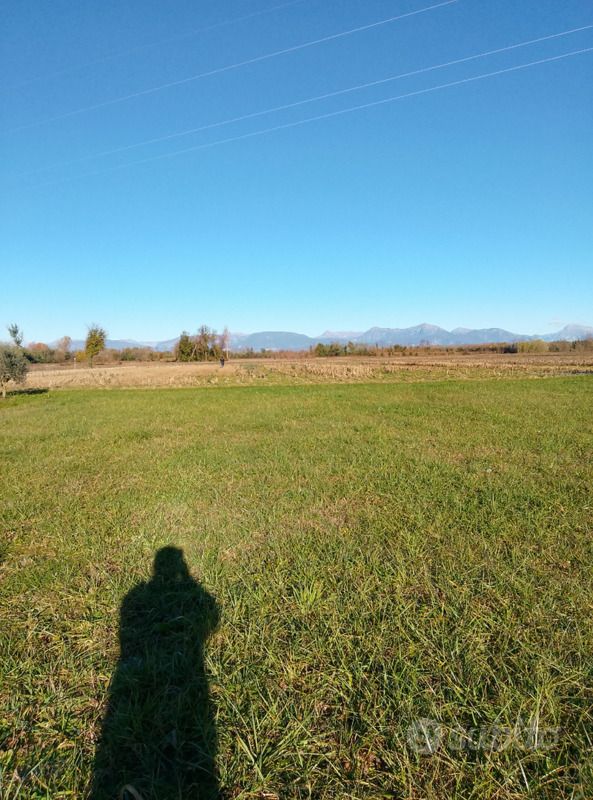 Usata Renault Clio II 75 CV (55 kW) 2010 Bianco Utilitaria