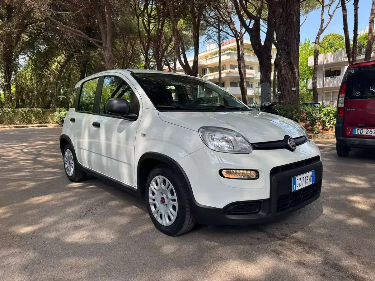 Usata Fiat Panda Launch Edition 69 CV (50 kW) 2023 Bianco Utilitaria