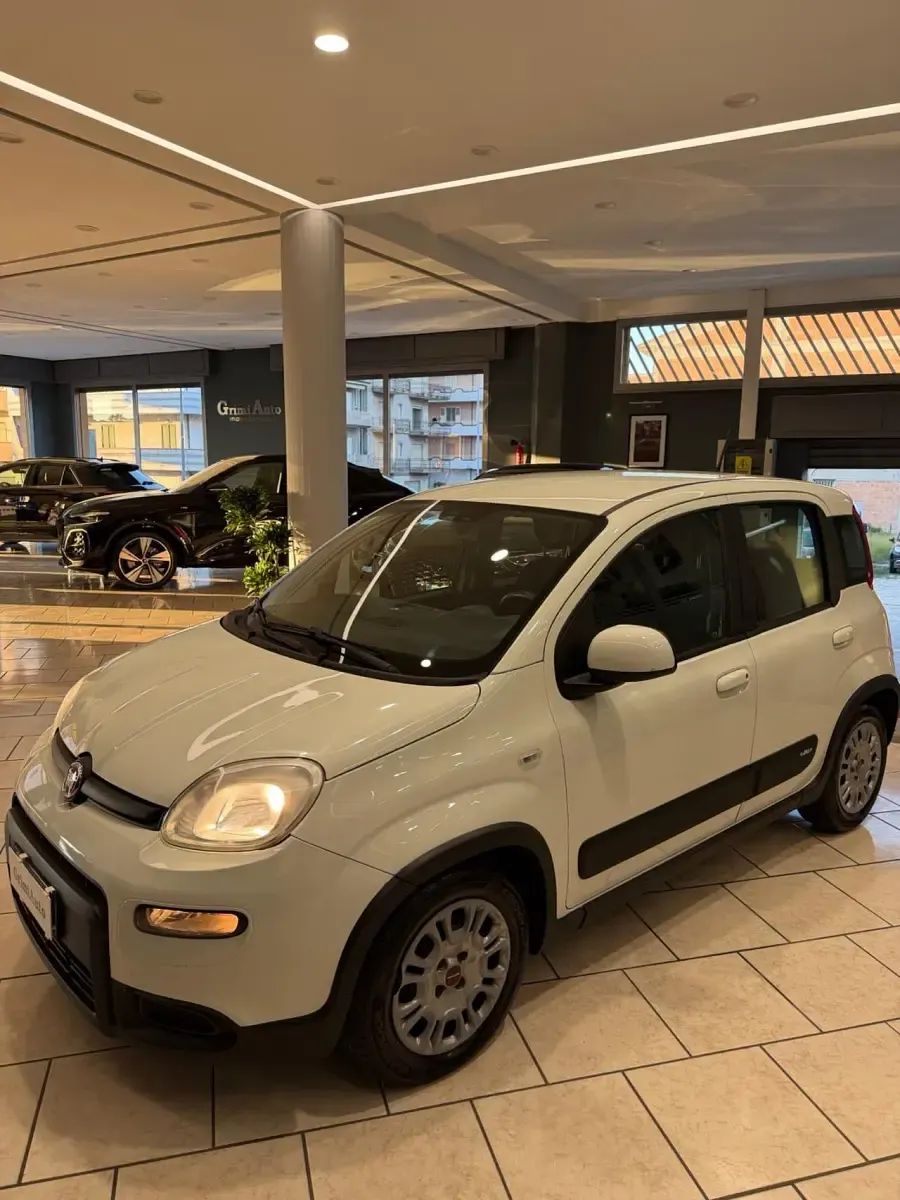 Usata Fiat Panda Easy 71 CV (52 kW) 2020 Bianco Utilitaria