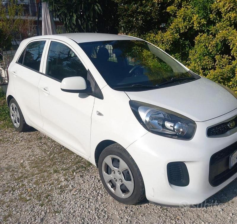 Usata Kia Picanto 67 CV (49 kW) 2016 Bianco Utilitaria