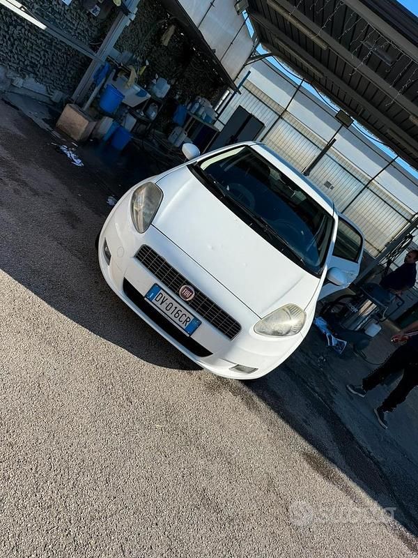 Usata Fiat Punto 80 CV (58 kW) 2009 Bianco Berlina