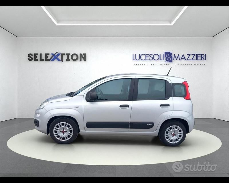 Usata Fiat Panda Easy 2020 Grigio Utilitaria