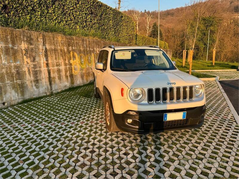 Usato 2018 Jeep Renegade 1.6 Diesel 120 CV (16.000 €)