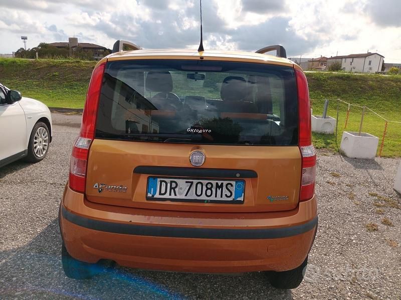 Usata Fiat Panda 60 CV (44 kW) 2009 Arancione Utilitaria