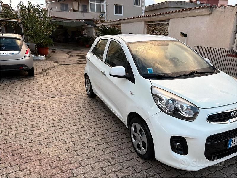 Usata Kia Picanto 68 CV (50 kW) 2016 Bianco Utilitaria