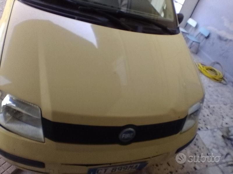 Usata Fiat Panda 60 CV (44 kW) 2005 Giallo Utilitaria