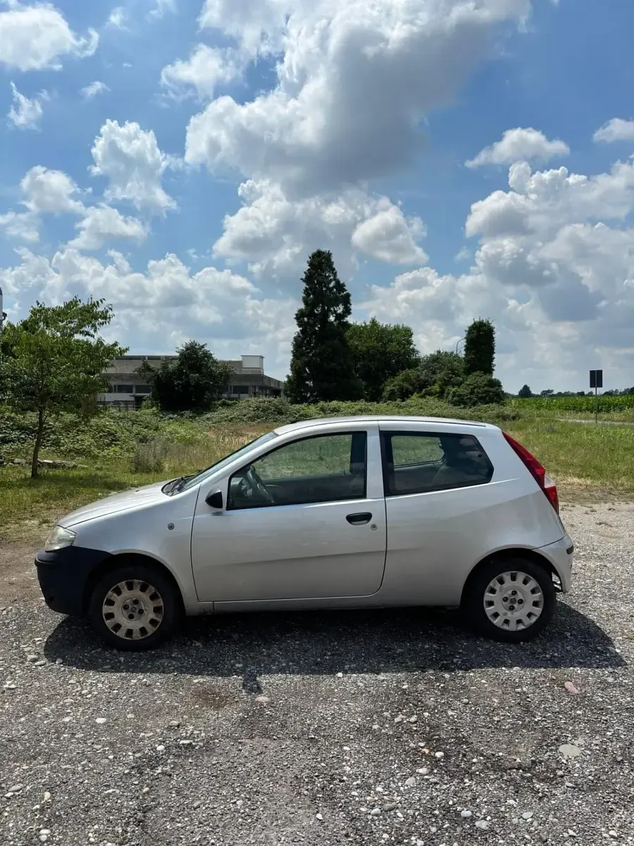 Usata Fiat Punto Active 59 CV (43 kW) 2011 Argento Utilitaria