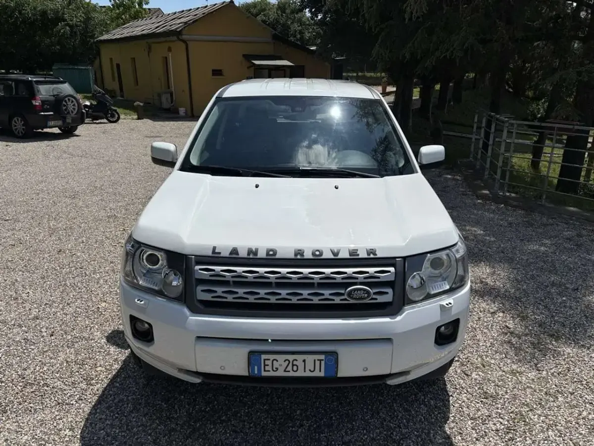 Usata Land Rover Freelander 2 S 190 CV (139 kW) 2011 Bianco SUV