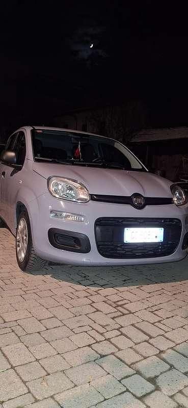 Usata Fiat Panda Easy 69 CV (50 kW) 2020 Grigio Utilitaria