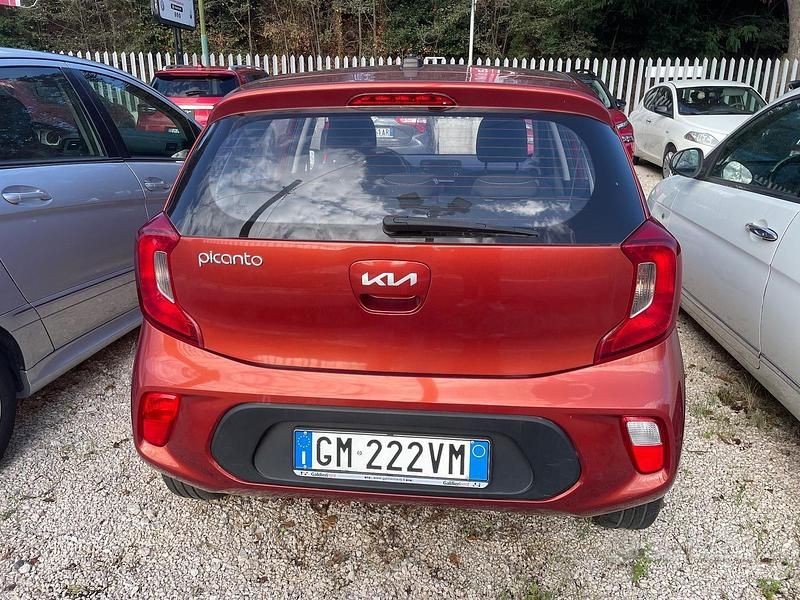 Usata Kia Picanto X-Line 67 CV (49 kW) 2023 Bianco Utilitaria