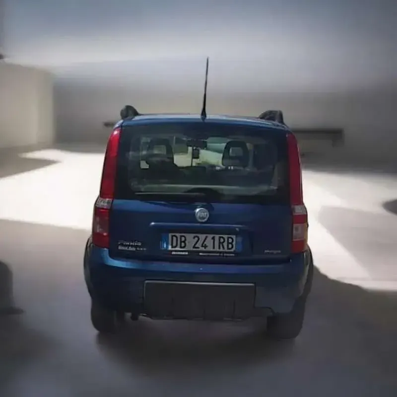 Usata Fiat Panda 4x4 69 CV (50 kW) 2006 Utilitaria