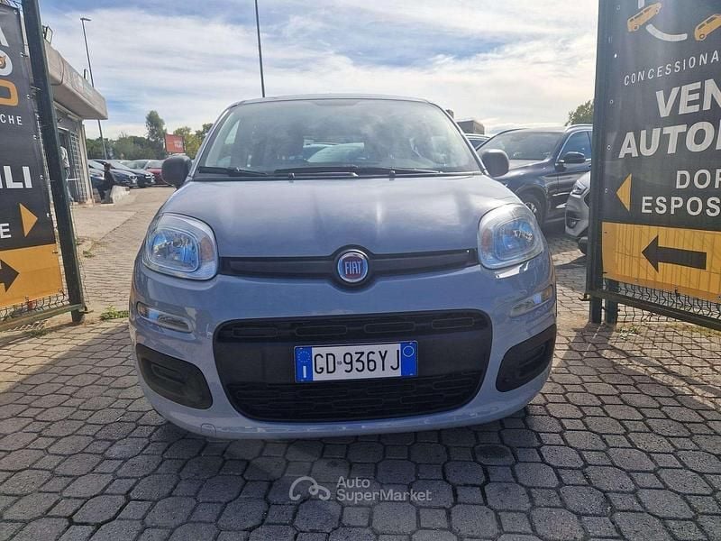 Usata Fiat Panda Easy 69 CV (50 kW) 2021 Grigio Utilitaria