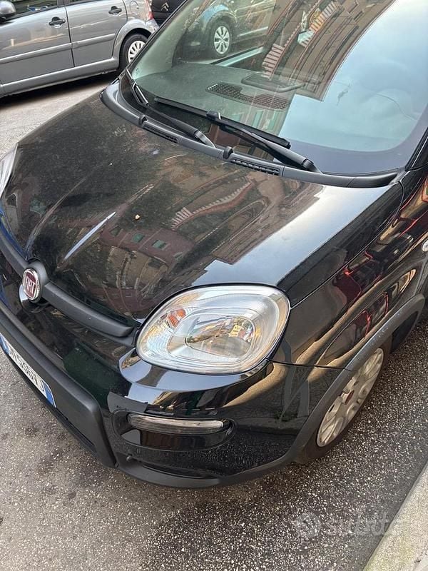 Gebraucht Fiat Panda 69 PS (50 kW) 2023 Kleinwagen