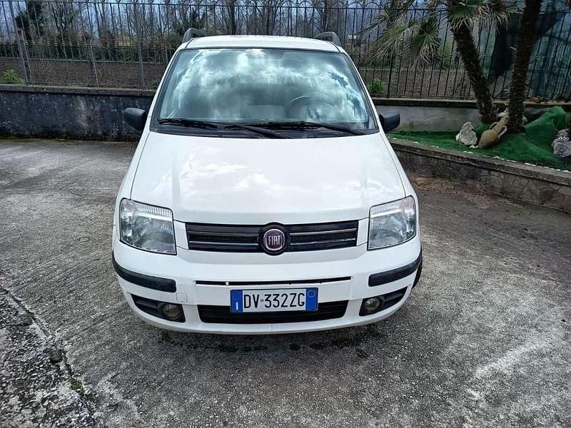 Usata Fiat Panda Dynamic 60 CV (44 kW) 2009 Bianco Utilitaria