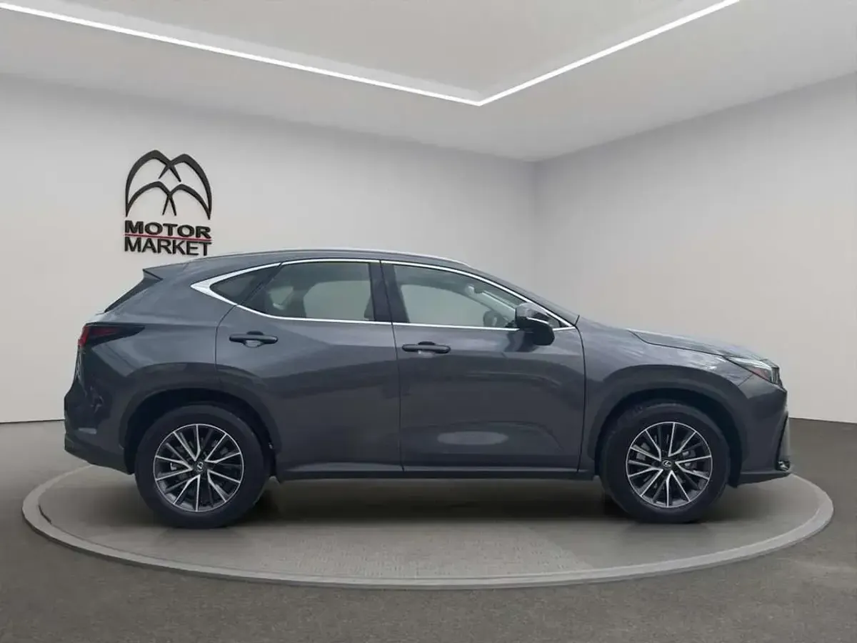 Usata Lexus NX200t Business Edition 243 CV (178 kW) 2023 Grigio / gray SUV