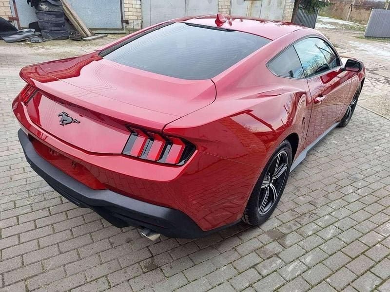 Usata Ford Mustang Fastback 317 CV (233 kW) 2024 Other Coupé