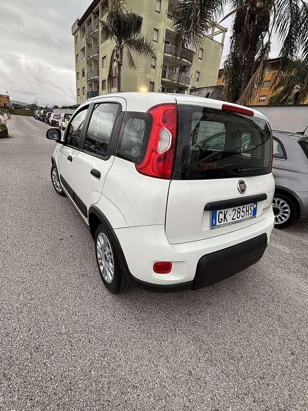 Usata Fiat Panda S 69 CV (50 kW) 2022 Utilitaria