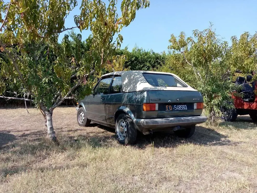 Usata VW Golf Cabriolet 50 CV (36 kW) 1983 Verde Cabrio