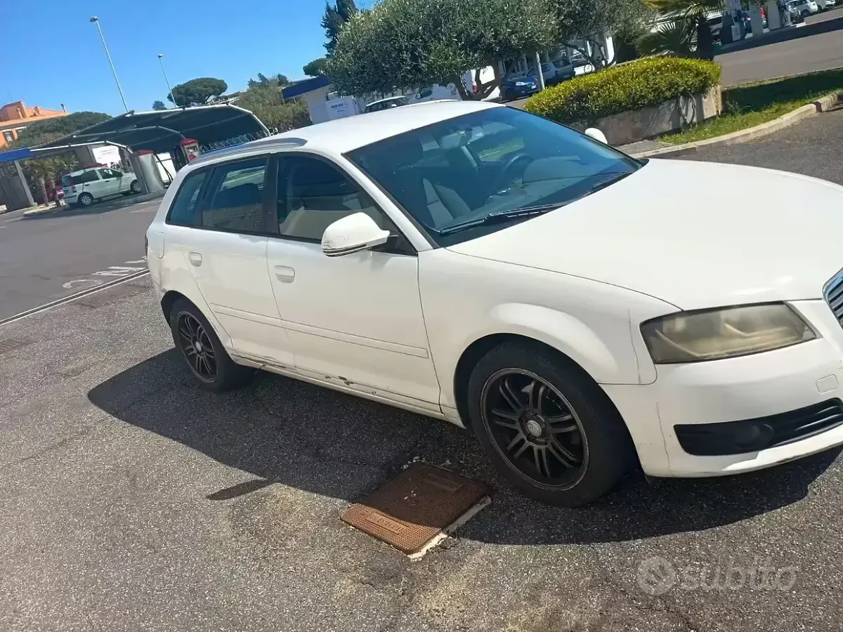 Usata Audi A3 Attraction 105 CV (77 kW) 2009 Bianco Utilitaria