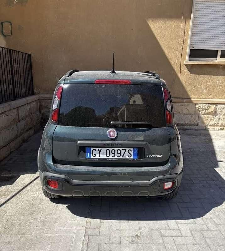 Usata Fiat Panda Icon 69 CV (50 kW) 2025 Verde Utilitaria