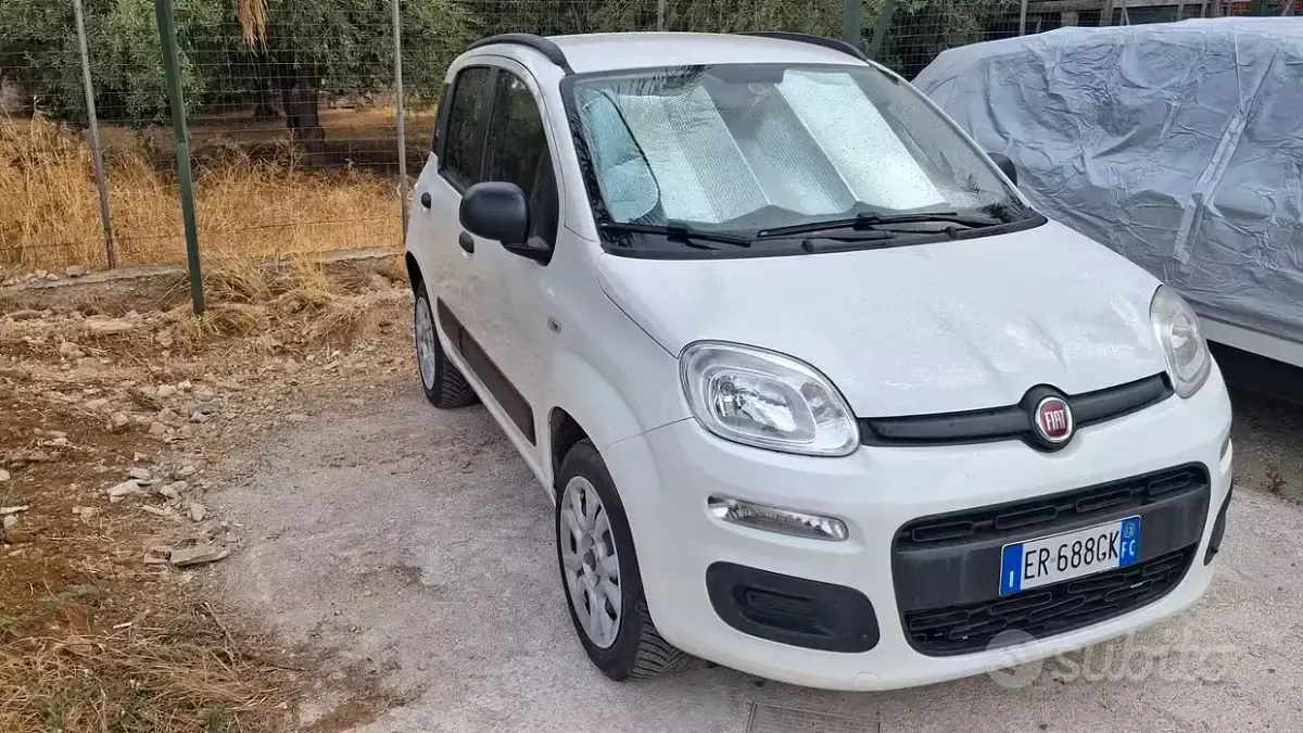 Usata Fiat Panda Easy 85 CV (62 kW) 2013 Bianco Utilitaria