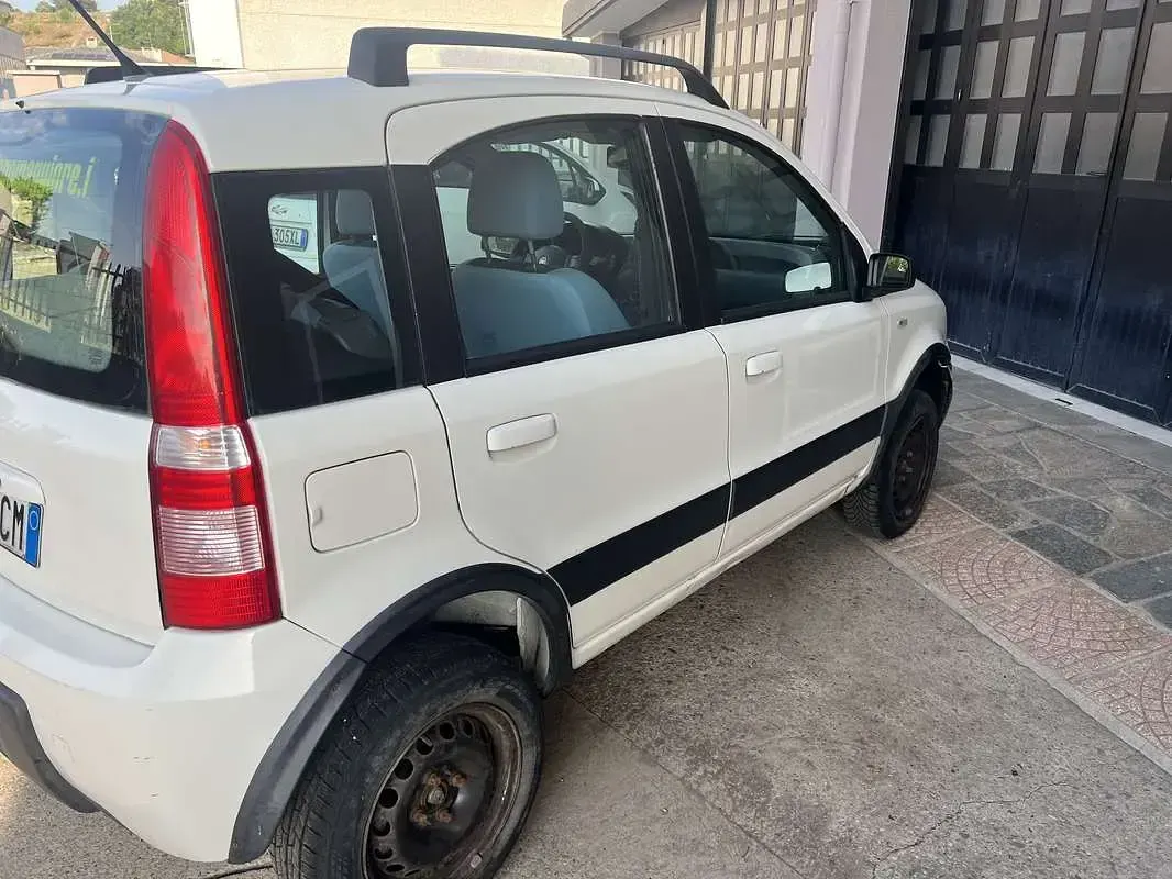 Usata Fiat Panda 4x4 Climbing 60 CV (44 kW) 2009 Utilitaria