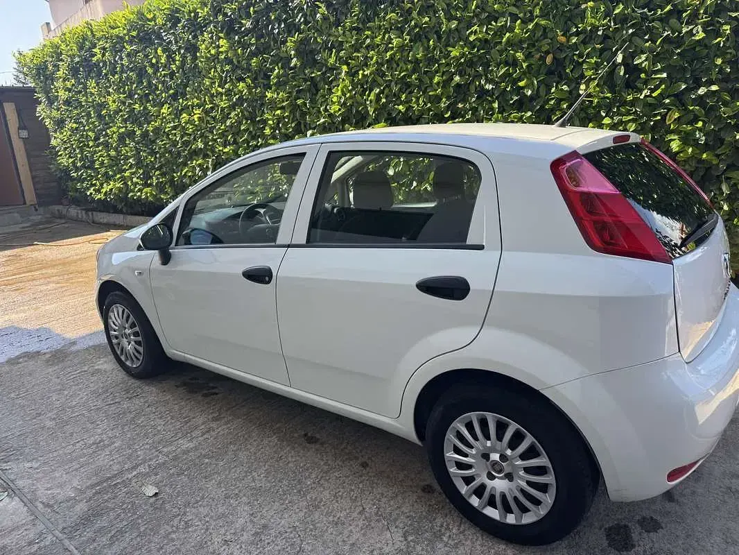Usata Fiat Punto Evo Emotion 95 CV (69 kW) 2017 Utilitaria