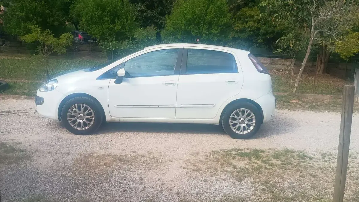 Usata Fiat Punto Evo Emotion 77 CV (56 kW) 2010 Utilitaria
