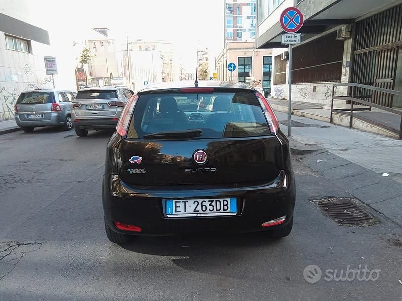 Usata Fiat Punto Lounge 70 CV (51 kW) 2013 Nero Utilitaria