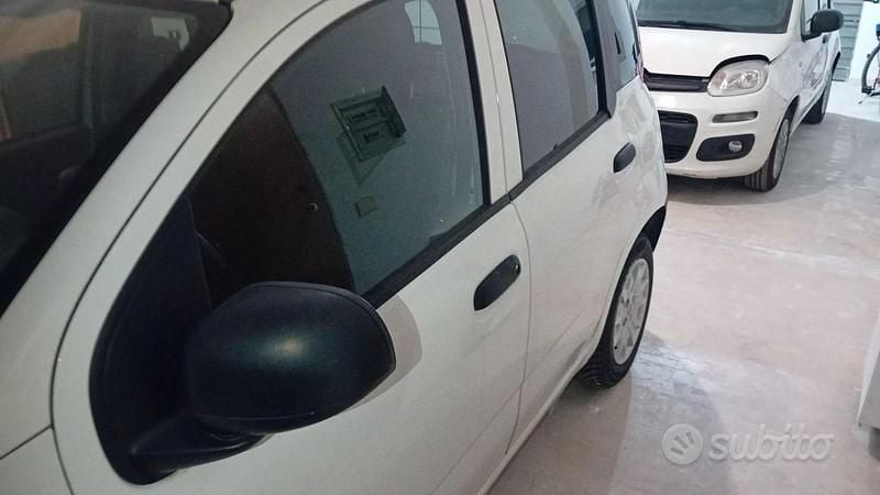 Usata Fiat Panda 2018 Bianco Utilitaria