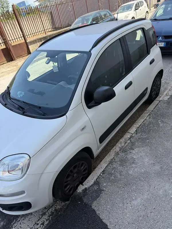 Usata Fiat Panda Easy 69 CV (50 kW) 2015 Utilitaria