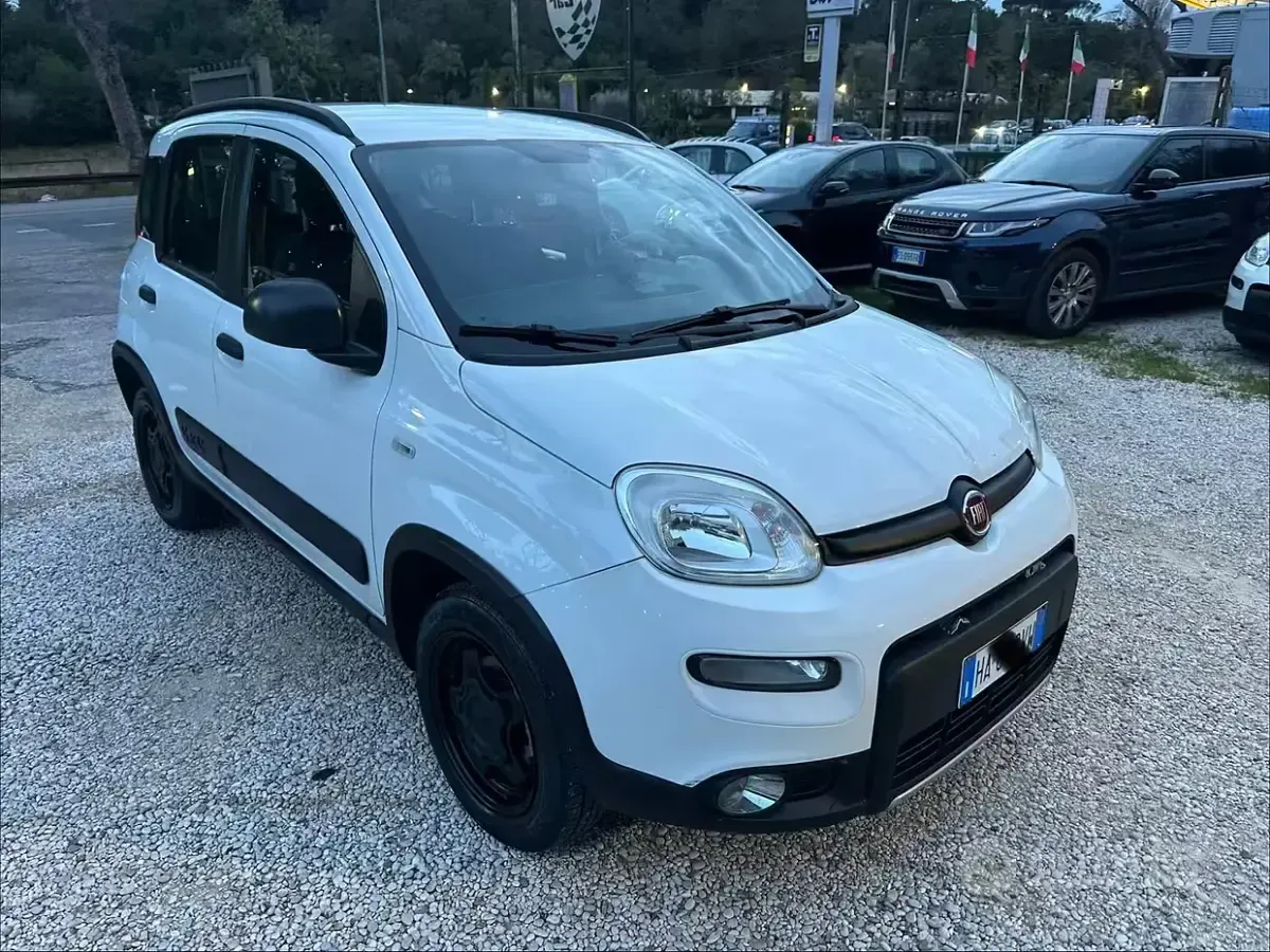 Usata Fiat Panda 4x4 69 CV (50 kW) 2020 Bianco Utilitaria